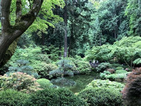 Gardens of Enchantment: Unveiling the Magic of Portland